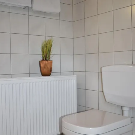 Reis * Sankt Aldegund
