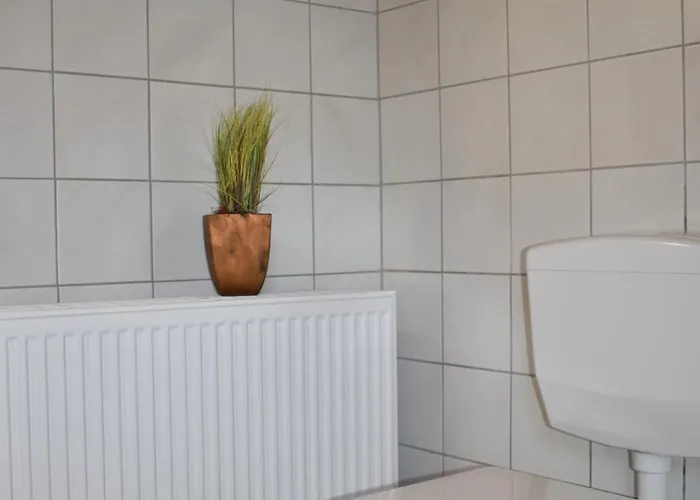 Reis * Sankt Aldegund